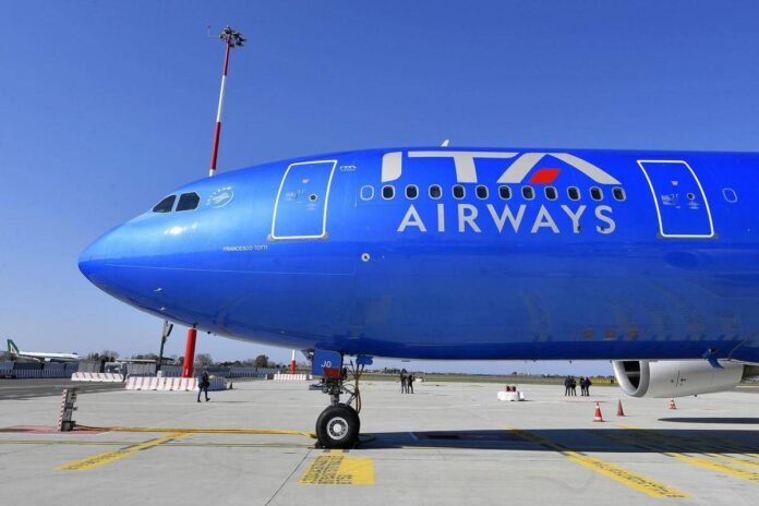 Cani in aereo, in cabina anche gli animali domestici di grossa taglia: il servizio Ita, come funziona