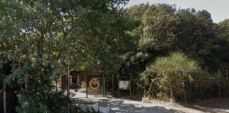 Oasi macchiagrande