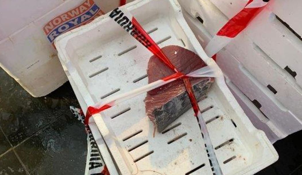 4 tonnellate di pesce "illegale" confiscato in tutto il Lazio: multe per 127mila euro 3