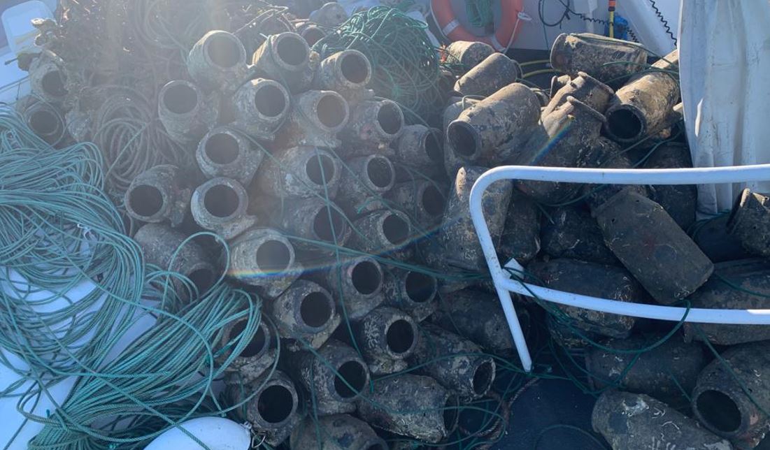 4 tonnellate di pesce "illegale" confiscato in tutto il Lazio: multe per 127mila euro 2