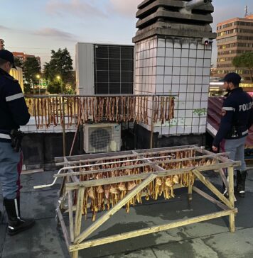 carne essiccata sul terrazzo palmiro togliatti polizia