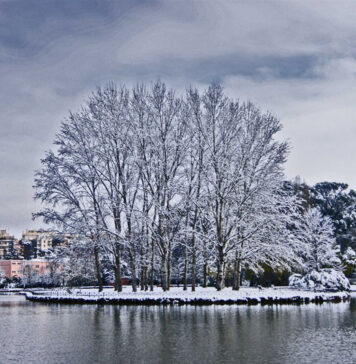 Neve_Roma