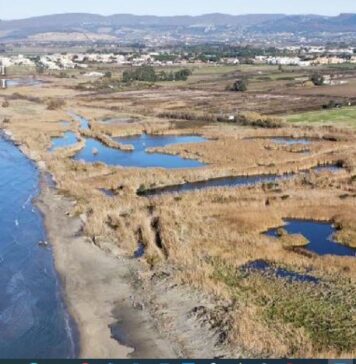 Ladispoli, Torre Flavia pulita: appello per il World Cleanup day, orari e luoghi di ritrovo