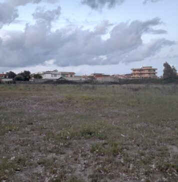 liceo fiumicino