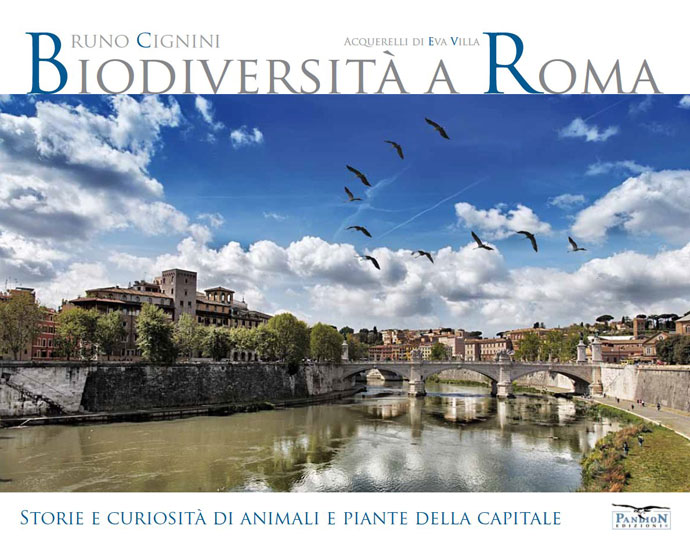 Che fare a Roma e Litorale romano nel weekend dal 28 al 30 aprile 5
