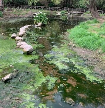 laghetto parco degli acquedotti