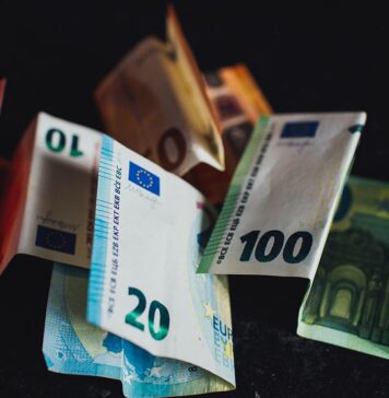 reddito di cittadinanza