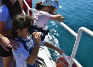 Oasi Lipu di Ostia: centinaia di avvistamenti in mare aperto, come osservare i volatili da terra 1