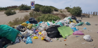 OSTIA-CANCELLI-RIFIUTI-INGLOBATI-DUNE-LUGLIO-26-2023