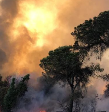 MONITOR-ANTI-INCENDIO-CASTEL-FUSANO-SPENTI-LABUR-