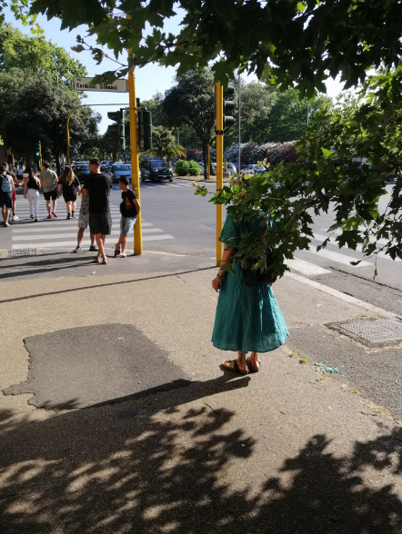 Rami d'albero ad altezza uomo in mezzo al marciapiede di Viale Cardinal Ginnasi