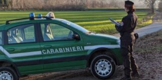 carabinieri forestali