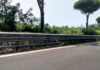 Gli interventi di manutenzione del verde su via Cristoforo Colombo, via del Mare e via Ostiense portano restringimenti di carreggiata e sensi unici alternati, con orari diversi a seconda della tratta interessata