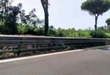 Gli interventi di manutenzione del verde su via Cristoforo Colombo, via del Mare e via Ostiense portano restringimenti di carreggiata e sensi unici alternati, con orari diversi a seconda della tratta interessata