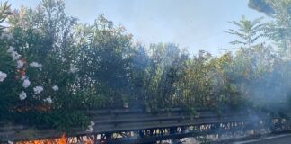 via Cristoforo Colombo, incendi estivi causati da ritardo sfalcio verde e mozziconi di sigarette -canaledieci