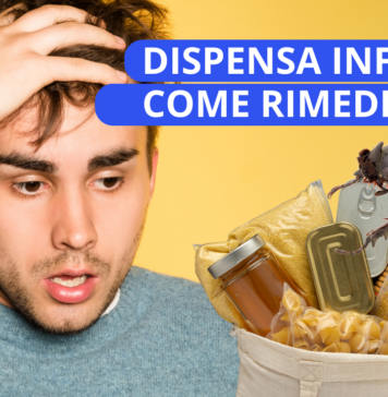 Insetti in dispensa. Coleotteri e tarli all'attacco di pane e biscotti