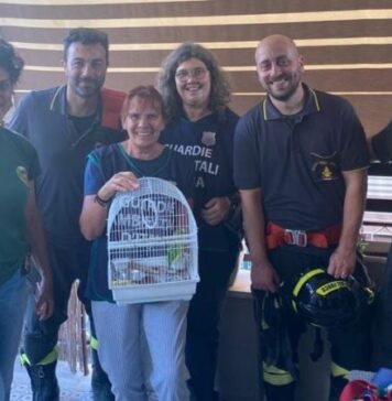 Ostia salvataggio pappagallo abbandonato -canaledieci