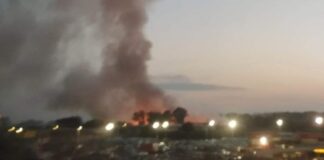 ROGO-CIAMPINO-DENUNCIA-LEGAMBIENTE