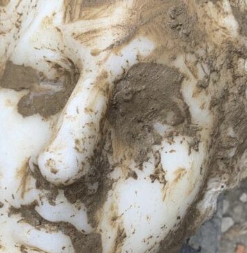 testa di marmo rinvenuta a Roma