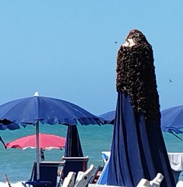 Fregene, sciame d'api sull'ombrellone: fuggi fuggi dalla spiaggia