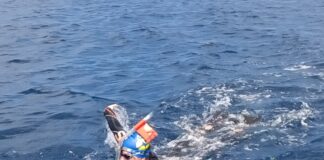 Nettuno, nuoto pinnato: premiata Martina Screti per traversata sullo stretto