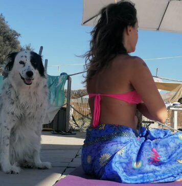 Maccarese, Ferragosto in spiaggia con il cane: tante attività al Baubeach