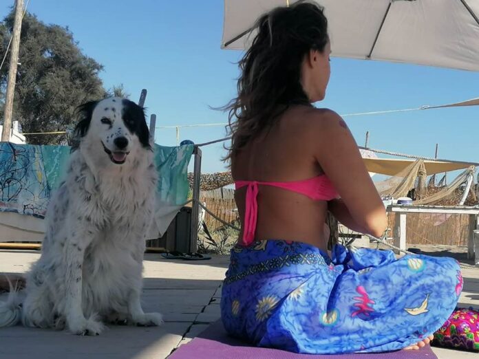 Maccarese, Ferragosto in spiaggia con il cane: tante attività al Baubeach