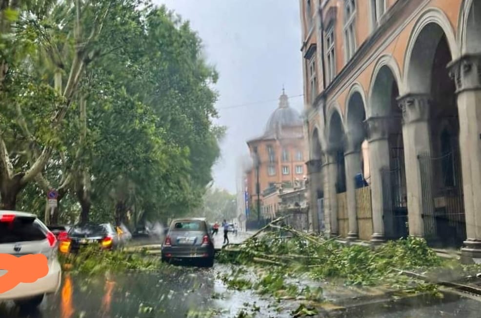 Roma, bomba d’acqua: allagamenti, alberi caduti e allerta meteo per le prossime ore (VIDEO) 1