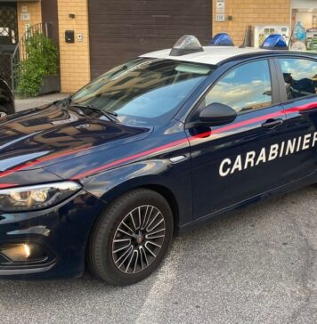 Maccarese, operaio muore schiacciato da una gru