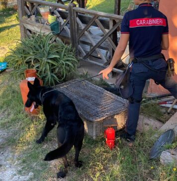 A Ladispoli e Cerveteri, scatta operazione Rider: smantellata piazza di spaccio