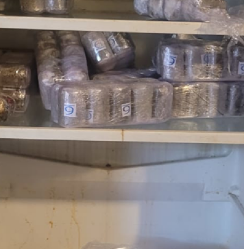 DROGA-HASHISH-TOR-SAPIENZA--14-CHILI-BLITZ-ROMA-ANTIDROGA-