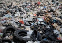 Via Aurelia, accumulava e bruciava i rifiuti: denunciato proprietario discarica abusiva