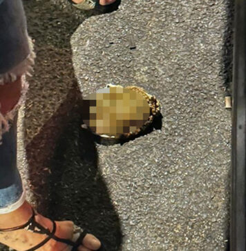 FRASCATI-SCOOTER-ESCREMENTI-