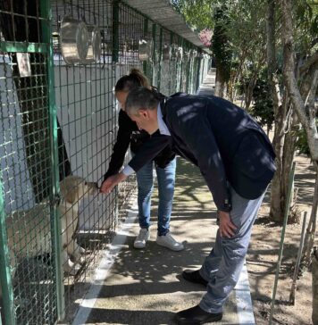 Il blitz del sindaco di Guidonia nel canile