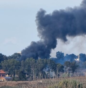 Incendi Pomezia e Torvaianica