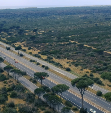 OSTIA-ETTARI-CAMPING-DIVORATI-PINETA-LABUR-