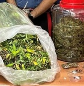 MORLUPO-PIANTE-MARIJUANA-CARABINIERI-8-CHILI-DROGA-ARRESTO-51ENNE-