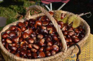 PORTE-ROMA-SAGRA-CASTAGNA-PROGRAMMA-