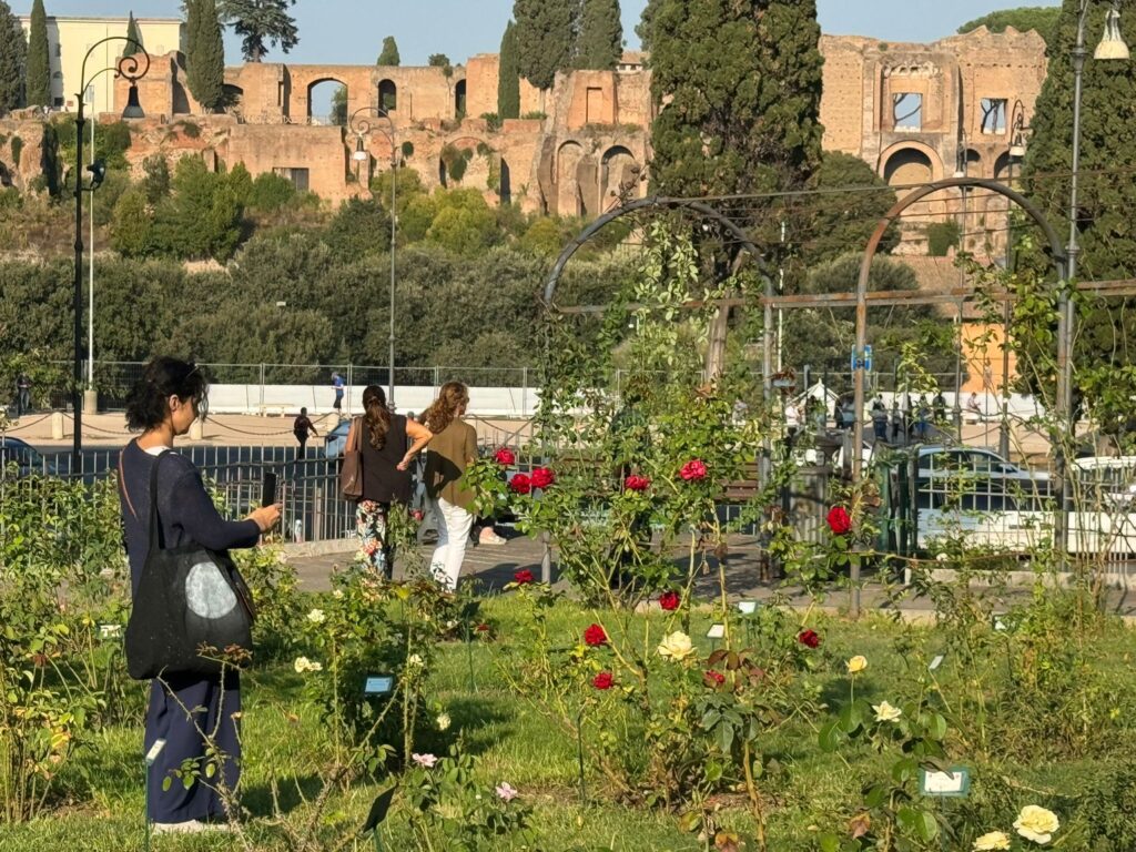 Roma, boccioli e verde brillante: al Roseto comunale sboccia l’ autunno (VIDEO) 1
