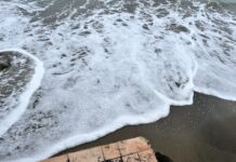 La Regione Lazio stanzia 90 milioni e incarica l’università Roma Tre di studiare il piano di difesa della costa dall’erosione Fregene, l’ erosione avanza: giù le cabine e metri di spiaggia svaniti (VIDEO) - Canaledieci.it