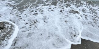 Fregene, l’ erosione avanza: giù le cabine e metri di spiaggia svaniti (VIDEO) - Canaledieci.it
