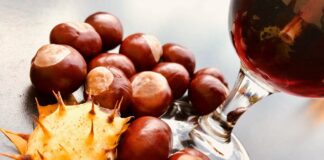 Sagre e feste di paese nel Lazio, week end dal 3 al 5 novembre: marroni, frascarelli, fiumi di vino e pappardelle