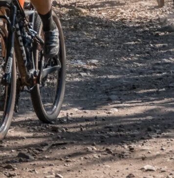 Castel Fusano, WWF Litorale Romano: “No alle gare di enduro nella pineta”