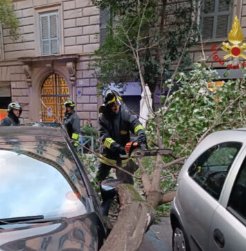 ALBERI-ROMA-SEQUESTRATI-30-