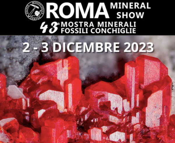 Che fare a Roma e Litorale romano nel weekend dall'1 al 3 dicembre: anche la Sagre 9