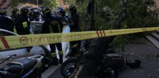 L'albero caduto in via di Donna Olimpica dove è morta l'anzana
