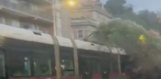 il tram rimasto danneggiato dall'albero caduto