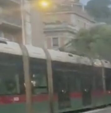 il tram rimasto danneggiato dall'albero caduto