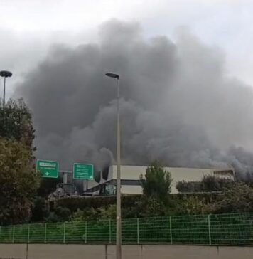 ROMA-COLDIRETTI-RISTORI-AGRICOLTORI-DANNEGGIATI-INCENDIO-MALAGROTTA-