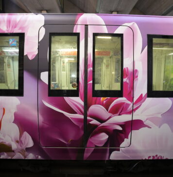 Metro A, è arrivato il treno floreale per la mobilità sostenibile (VIDEO)